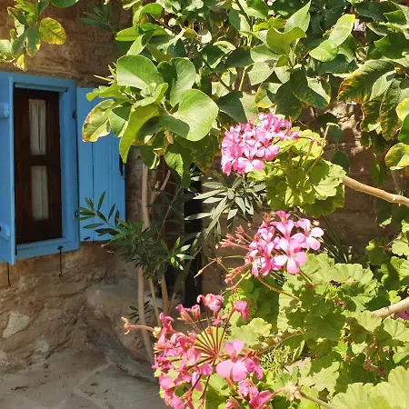 Διαμέρισμα Vasilopoulos House *