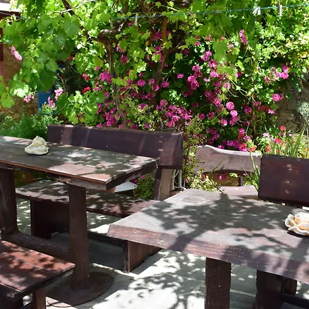 Vasilopoulos House * Tochni