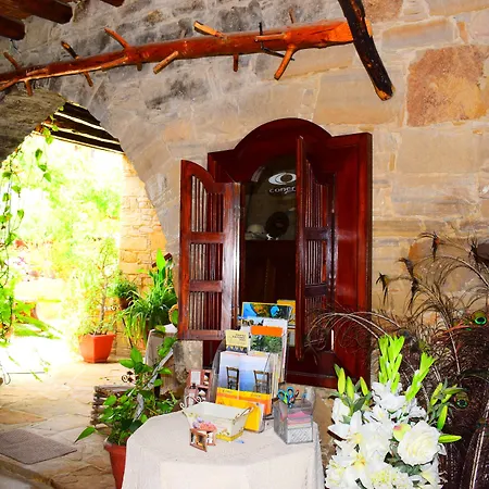 Vasilopoulos House Apartment Tochni
