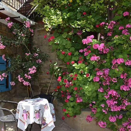 Appartement Vasilopoulos House Tokhni