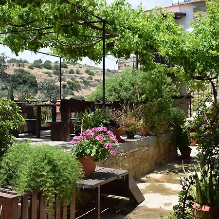 Vasilopoulos House Apartment Tochni