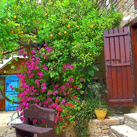 Appartement Vasilopoulos House