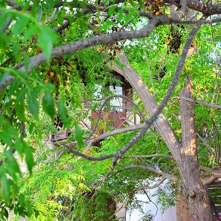 Vasilopoulos House Apartament