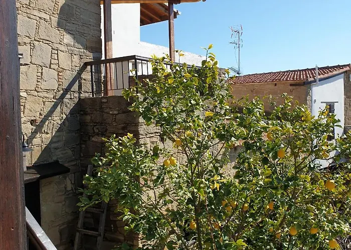 崴瑟洛普洛斯豪斯酒店 托其