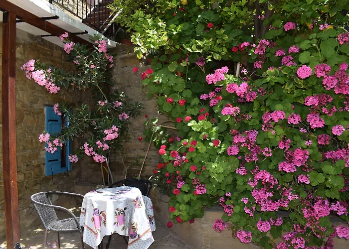 公寓 崴瑟洛普洛斯豪斯酒店 托其