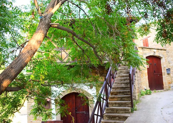 崴瑟洛普洛斯豪斯酒店 托其